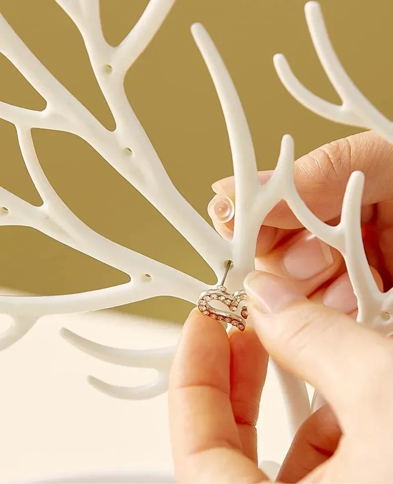 Jewelry Display/Organizer Rack